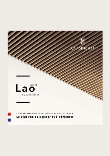 Flyer-Lao