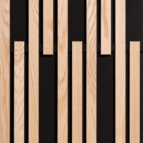 P_LINEA-4.2.1-Lite_face P_LINEA-4.2.1-Lite_face